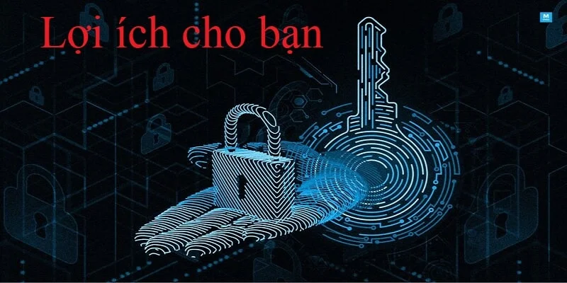 Quyền riêng tư cho người chơi tại KO66