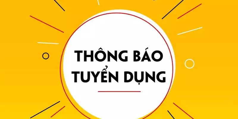 Tuyển dụng KO66