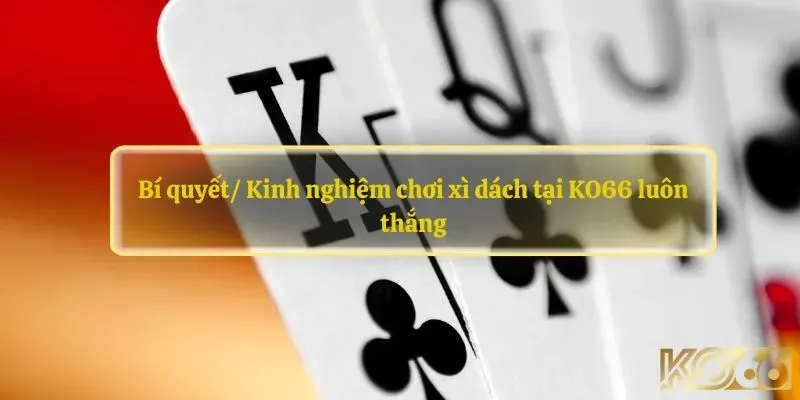 Bí kíp chơi xì dách đánh bại mọi đối thủ