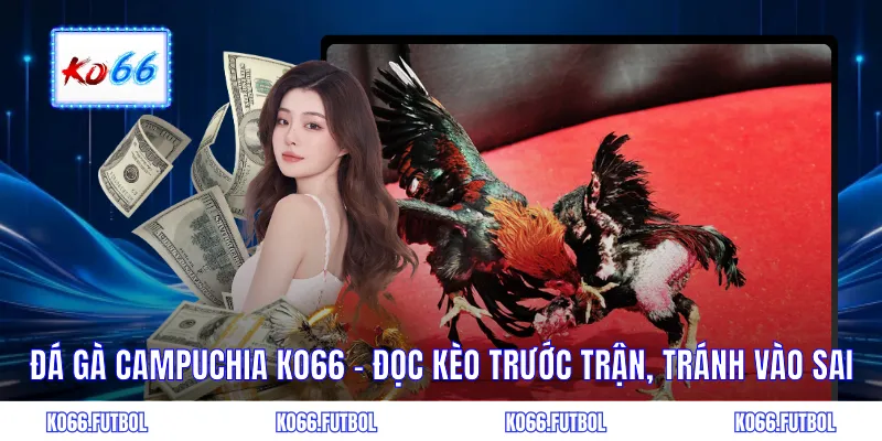 Đá gà Campuchia
